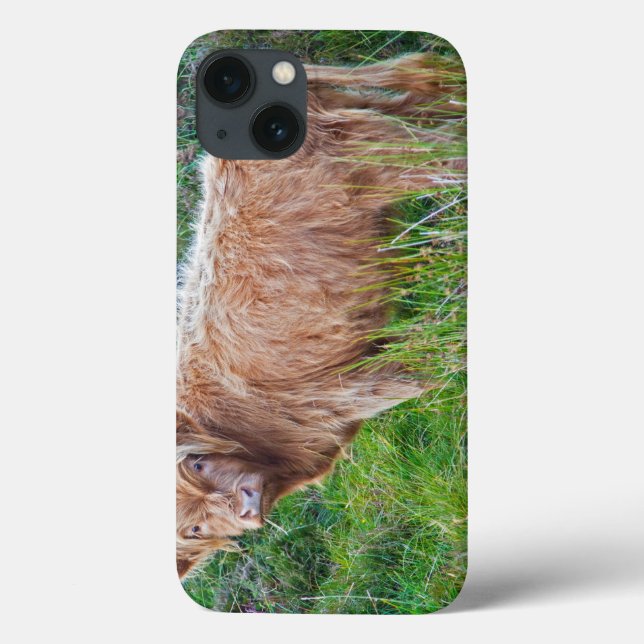 Young Highland Cow iPad Case (Baksida)