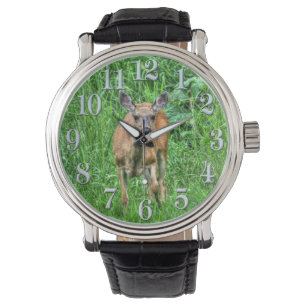 Young Hjort Doe and Grönt Grasses Wildlife watch Armbandsur