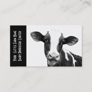 Young Holstein Veal eller Dairy Calf Visitkort