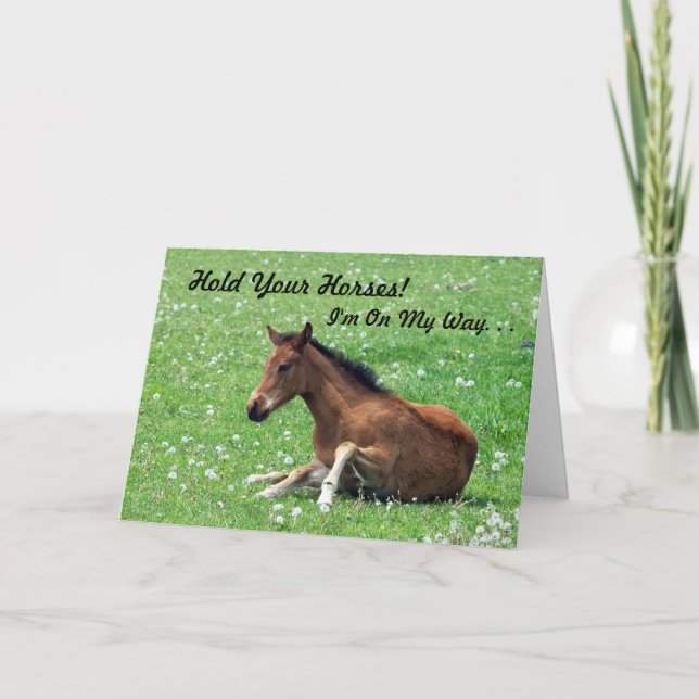 Young Horse Birthday Card Kort (Framsida)