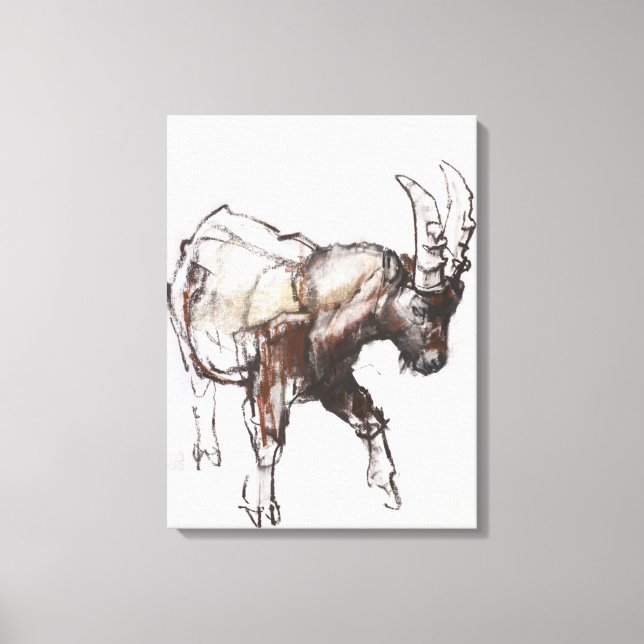 Young Ibex Gran Paradiso 2005 Canvastryck (Framsida)