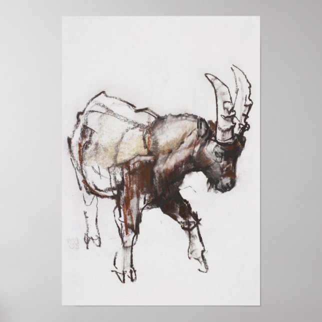 Young Ibex Gran Paradiso 2005 Poster (Framsidan)