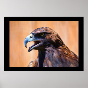Young Juvenile Örn Wildlife Painting Poster