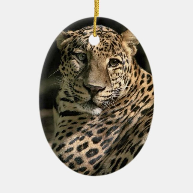 Young Leopard jul Ornament (Framsidan)