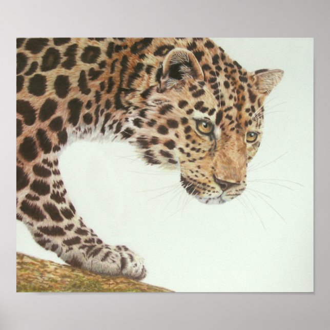 Young Leopard Painting Poster (Framsidan)