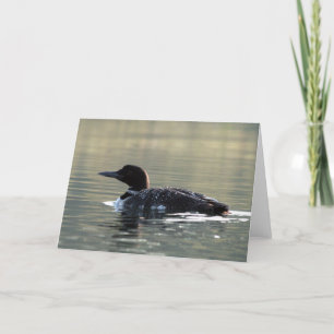 Young Loon Greeting Card Kort