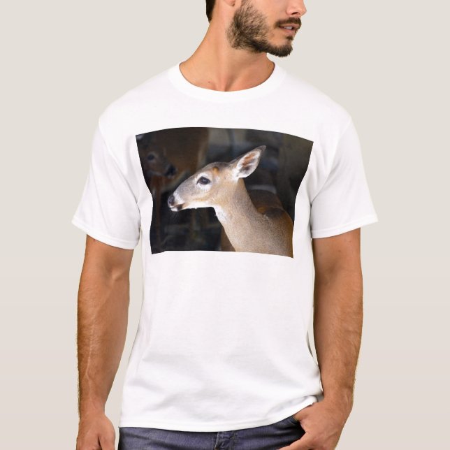 Young Male Nyckel Hjort, Florida T Shirt (Framsida)