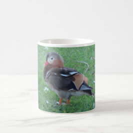 Young Mandarin Anka Mugg