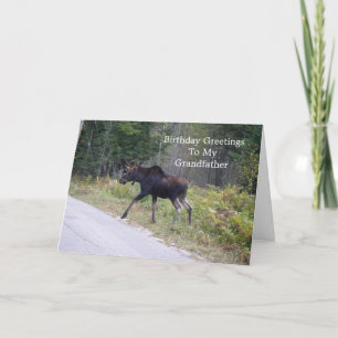 Young Moose på Road-Grandfather's Birthday Kort