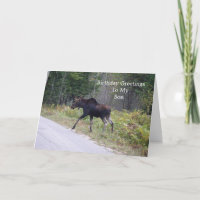 Young Moose på Road-Son's Birthday