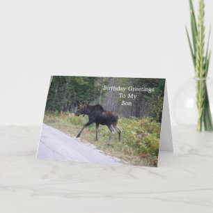 Young Moose på Road-Son's Birthday Kort