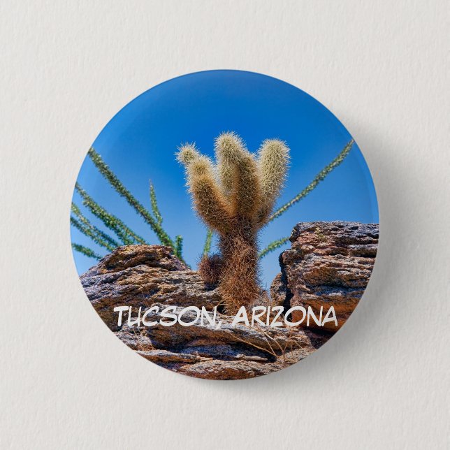 Young Nalle Cholla Cactus, Tucson Knapp (Framsida)