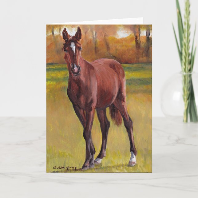 "Young One" Horse Art Greeting Card Kort (Framsida)