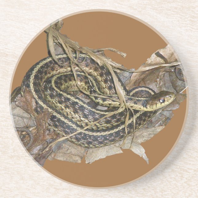 Young Östra Garter Snake Underlägg Sandsten (Framsidan)