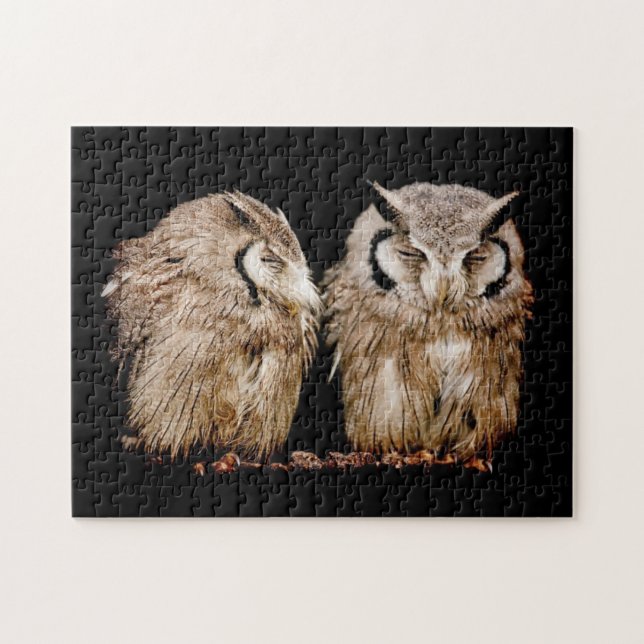 Young Owlets Pussel (Horisontell)