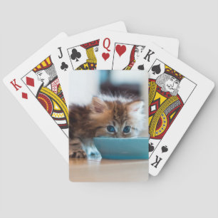 Young Persian Kitten Spelkort