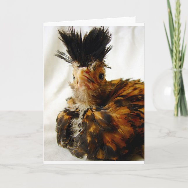 Young polska kort (Framsida)