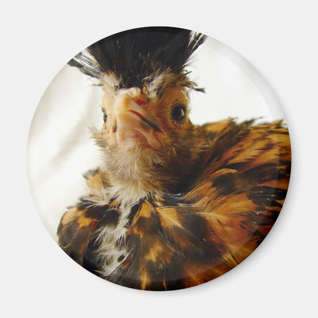 Young polska magnet (Framsidan)