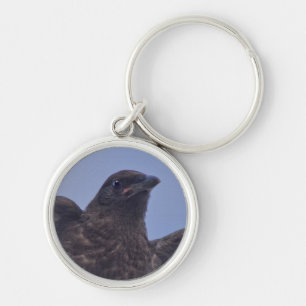 Young Raven på Quesnel Bridge w Himlar Rund Silverfärgad Nyckelring