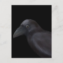 Young Raven Vykort
