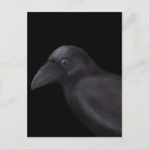 Young Raven Vykort