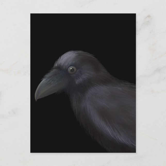 Young Raven Vykort (Framsida)