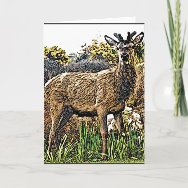 Young Red Hjort Greeting Card Kort (Framsida)