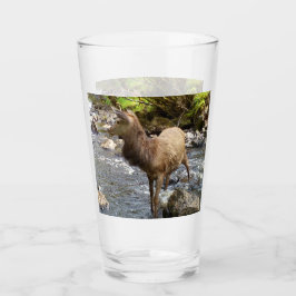 Young Red Hjort på floden Glaskopp