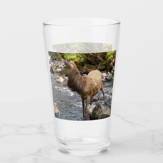 Young Red Hjort på floden Glaskopp (Framsida)