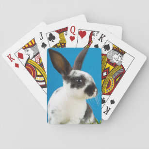 Young Rex-kanin Spelkort