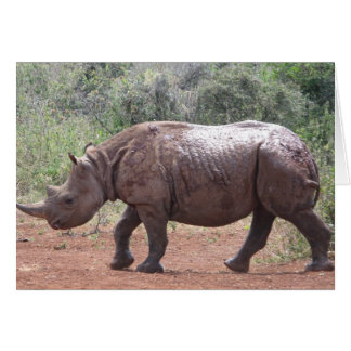 Young Rhino Hälsningskort