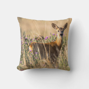 Young Roe Hjort i Meadow Kudde