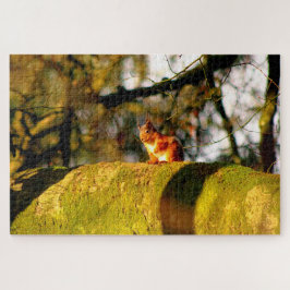 Young Scottish Red Squirrel Pussel