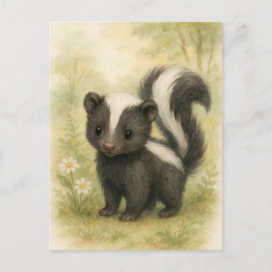 Young Skunk Baby Vilda djur vykort