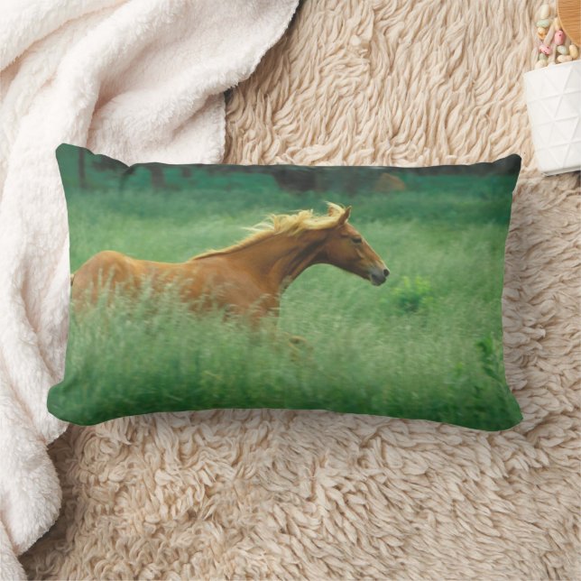 Young Stallion Springa genom Meadow Lumbarkudde (Filt)