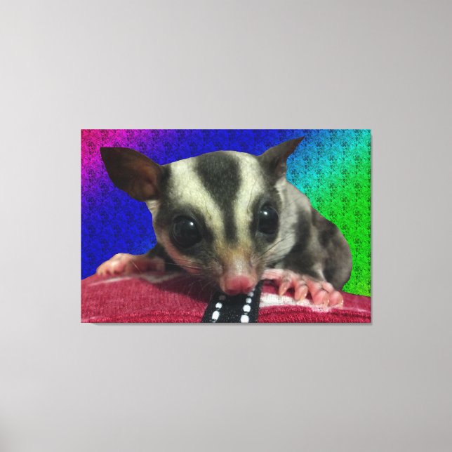 Young Sugar Glider Canvas (Framsida)