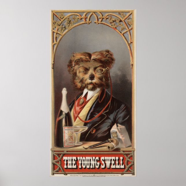 Young Swell Poster (Framsidan)