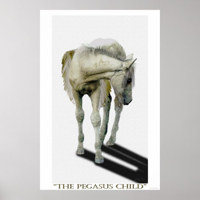 Young White Pegasus Colt Fantasy Art Poster (Framsidan)