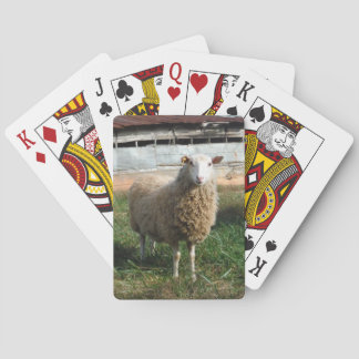 Young White Sheep på gårmen Spel Kort