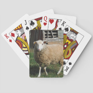 Young White Sheep på gårmen Spel Kort