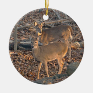 Young Whitetail Hjort jul Ornament