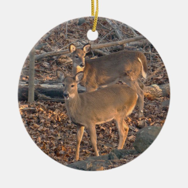 Young Whitetail Hjort jul Ornament (Framsidan)