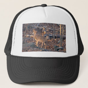 Young Whitetail Hjort Series Keps
