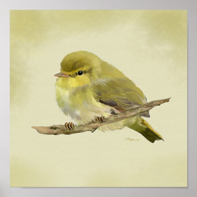 Young Wood Warbler Poster (Framsidan)