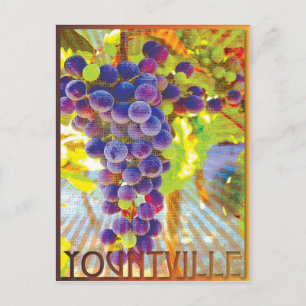 Yountville California Grape Cluster Vykort