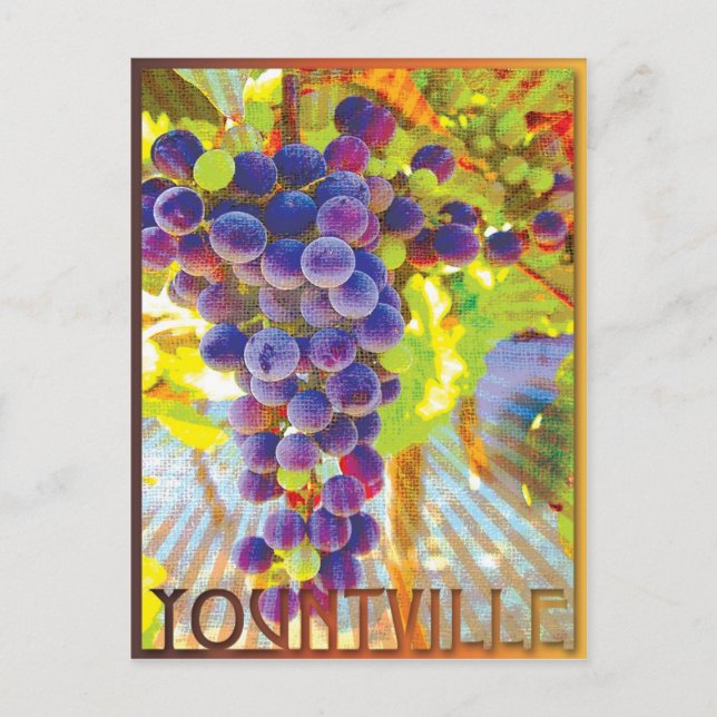 Yountville California Grape Cluster Vykort (Framsida)