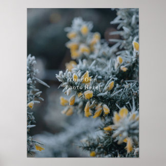 Your Own Personalised Photo Poster. Poster