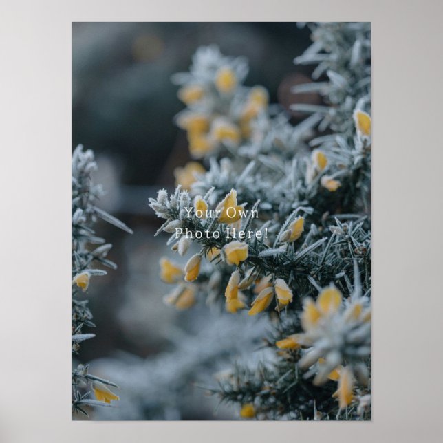 Your Own Personalised Photo Poster. Poster (Framsidan)