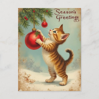 Your Own Text Season’s Greetings Kitten Postcard Helg Vykort