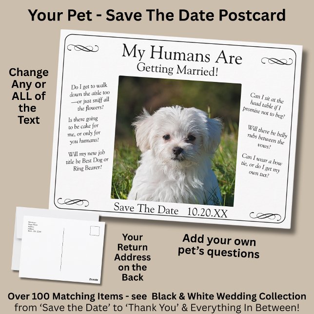Your Pet Photo Save The Date Black White Infinity Vykort (Skapare uppladdad)